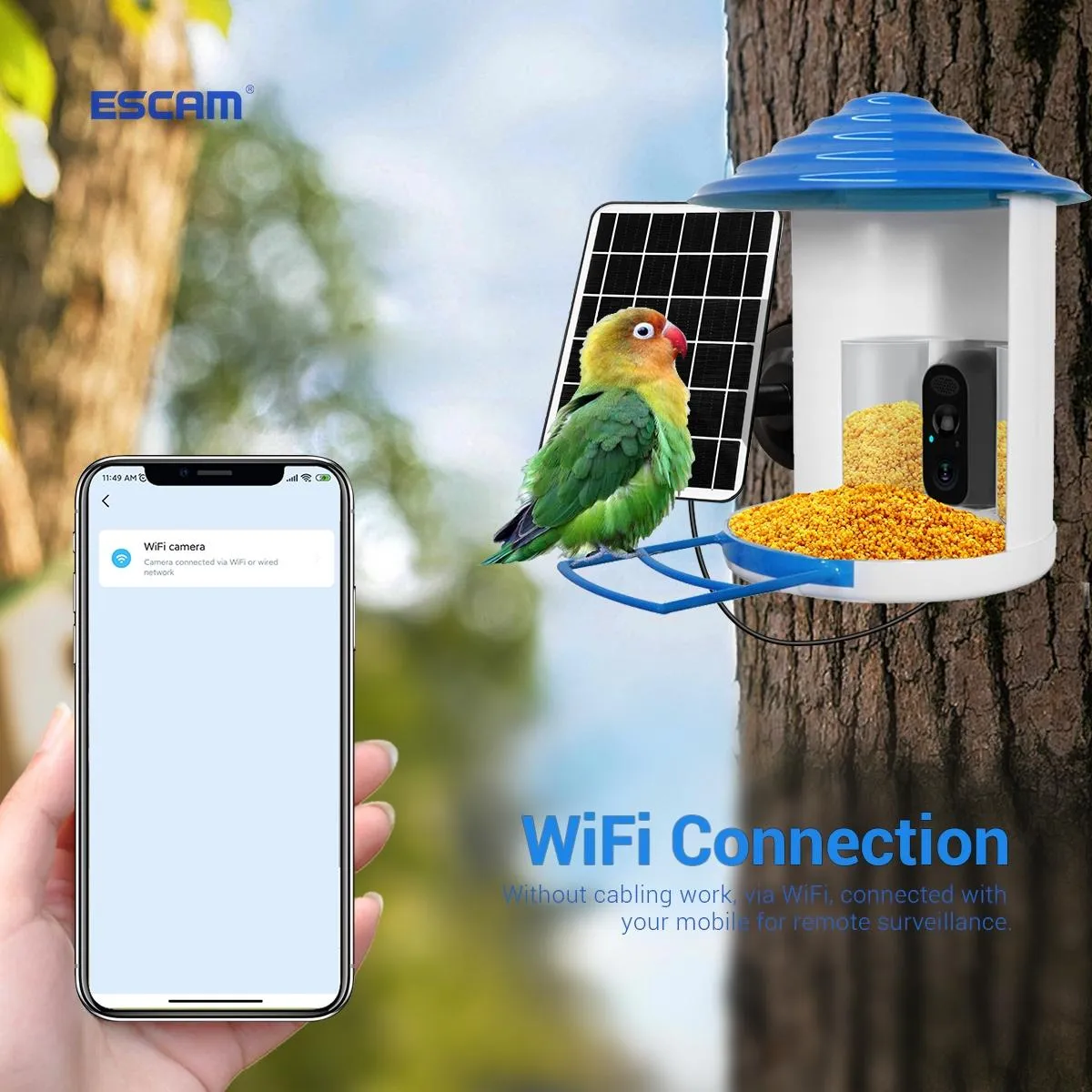 2MP Wifi Camera | AI Bird Recognition | PIR Motion Detection