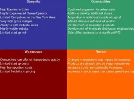 Franchised Gas Station SWOT Analysis Plus Business Plan