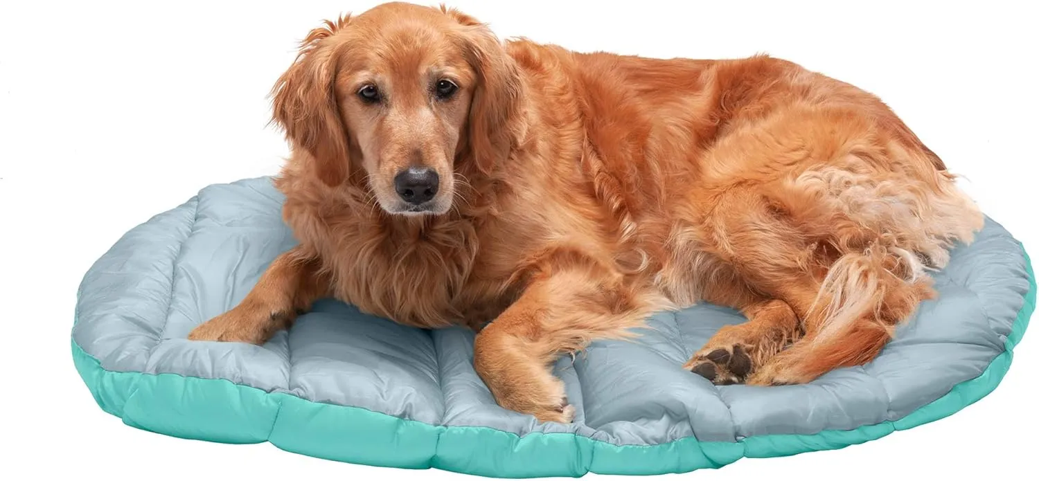 Furhaven Outdoor Travel Dog Bed for Large/Medium Dogs w/ Carry Bag, Washable & Foldable, Great for Crates & Kennels - Trail Pup Travel Pillow Mat w/ Stuff Sack Bag - Aqua/Granite Gray, Large